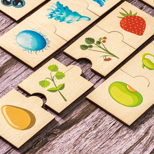 Life Cycle, Montessori toys for 2 3 4 years old, Jigsaw puzzle, Homeschool Matching Cards, Gifts for kids, Toddler toys, Kids toys, Frog