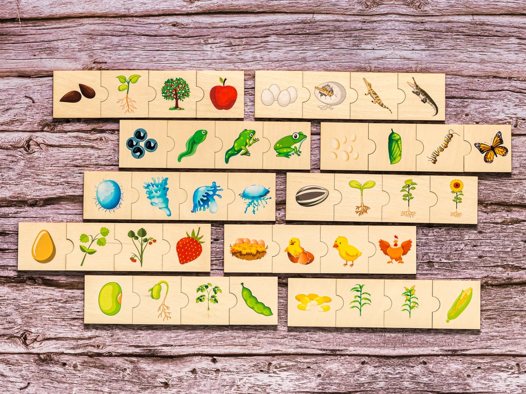 Matching Game for Toddler, Life Cycle Puzzle, Montessori Toys, Life ...