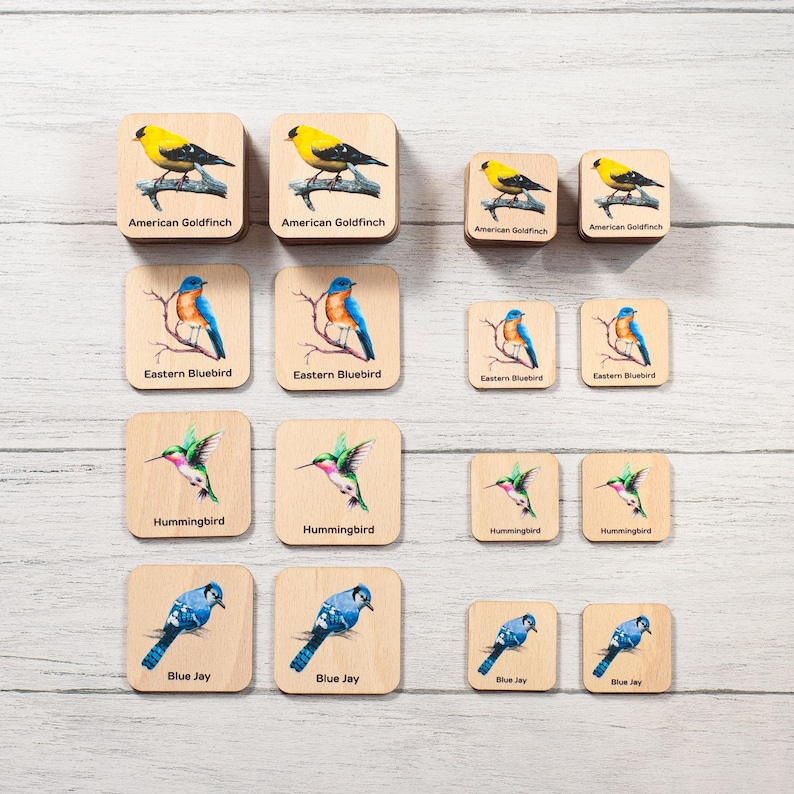 a group of wooden magnets with birds on them