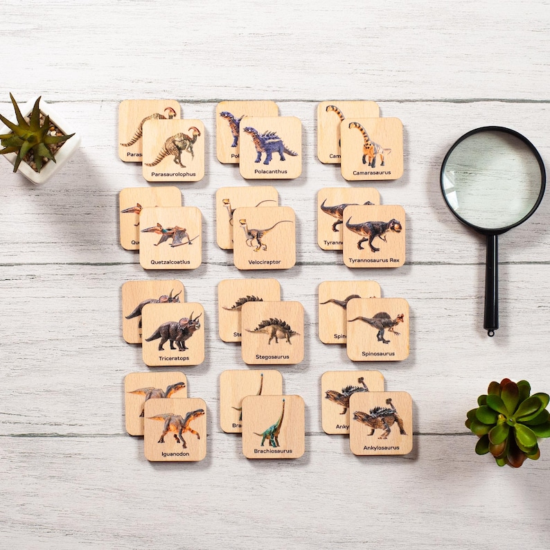 a set of twelve dinosaur coasters next to a magnifying glass