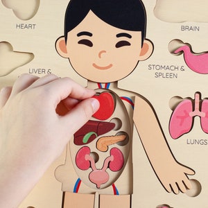 Montessori toys, human body puzzle, toddler toys wooden human puzzle kids anatomy puzzle human anatomy preschool anatomy gifts for kids toys