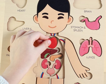 Montessori toys, human body puzzle, toddler toys wooden human puzzle kids anatomy puzzle human anatomy preschool anatomy gifts for kids toys