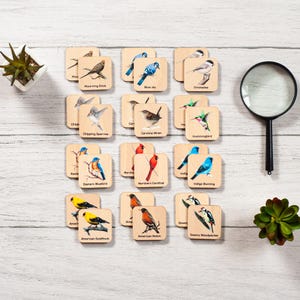 Cartes assorties oiseaux Montessori, cadeau pour tout-petit, jeu de mémoire, activité préscolaire de la maternelle à la maison pour les enfants, bas de Noël