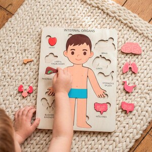 A child is playing with a wooden puzzle depicting the internal organs of the human body.
