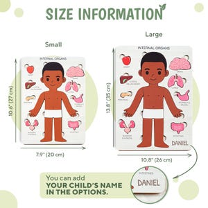 The image is a size information sheet for a children's educational toy called "Daniel". It provides dimensions and options for the child's name, as well as the names of internal organs.