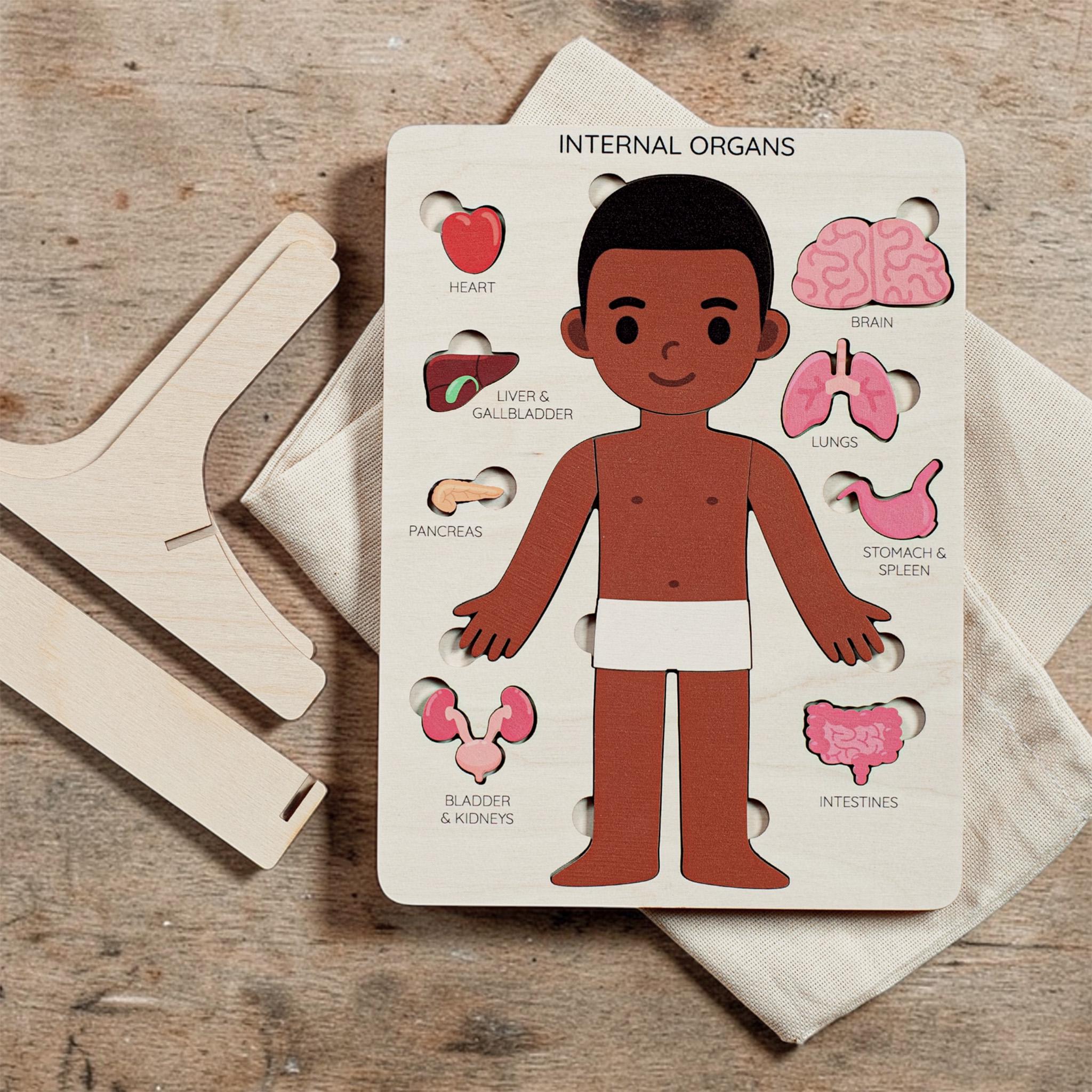 Montessori Toys, Human Body Puzzle, Toddler Toys Wooden Human Puzzle ...