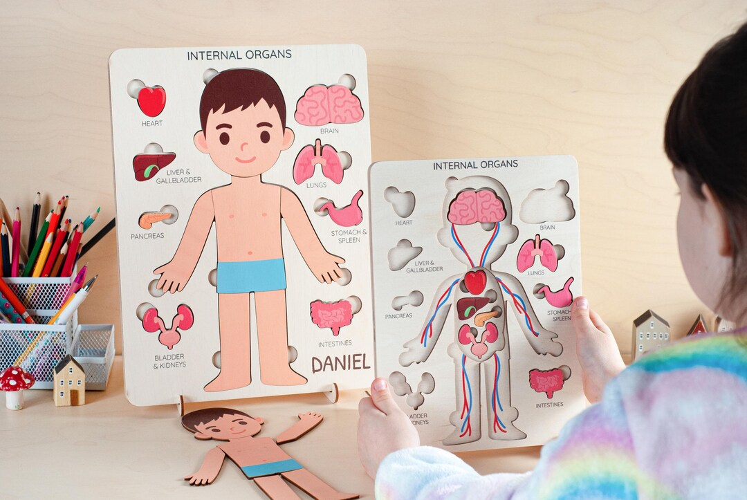 Human Body Anatomy Puzzle Board for Kids, Learning Montessori Toy ...