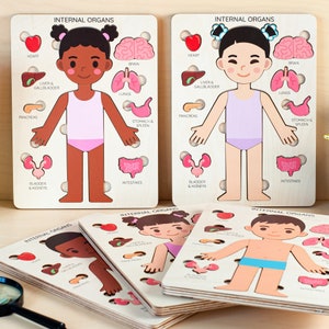 Kids anatomy puzzle, Montessori toys, Human body puzzle, Wooden human puzzle, Human anatomy preschool, Educational gift for kids