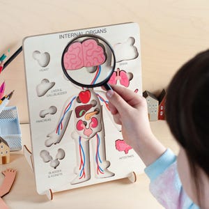 Human Body Anatomy Puzzle Board for Kids, Learning Montessori Toy ...