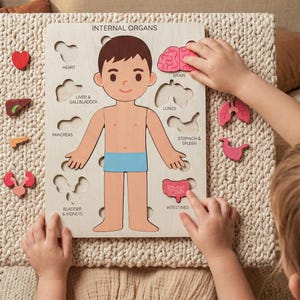 A child is playing with a wooden puzzle depicting the internal organs of a human body.