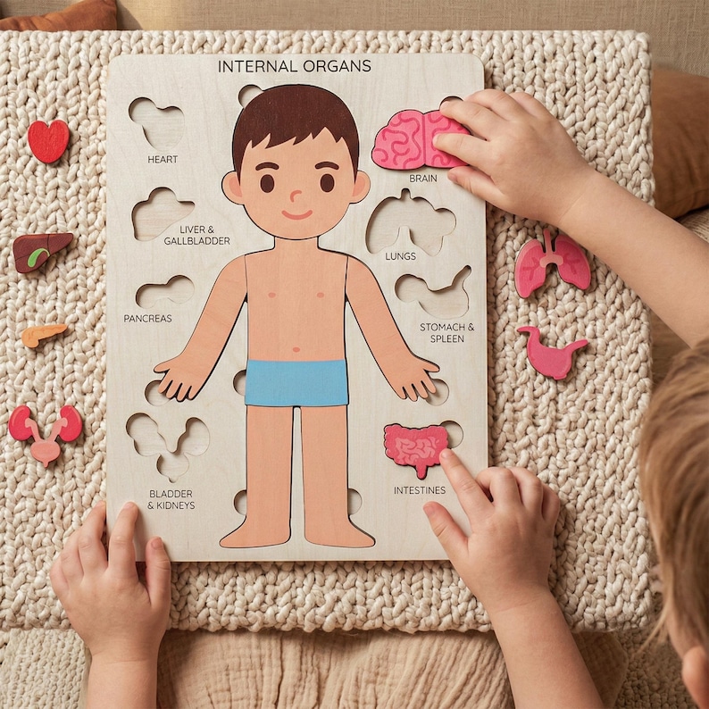 A child is playing with a wooden puzzle depicting the internal organs of a human body.