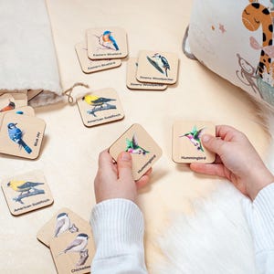 Cartes d'oiseaux assorties, Jouets d'apprentissage pour oiseaux, Matériel éducatif Montessori, Jouets d'activités pour l'école à la maison, Jouets éducatifs, Jouets en bois pour enfants