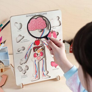 Wooden Human Anatomy Puzzle, Montessori Toddler Organ Parts Toy, Educational Learning Gift image 4