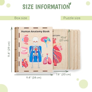 Human Organs Puzzle, Anatomy Puzzle, Human Anatomy, Toddler Curriculum ...