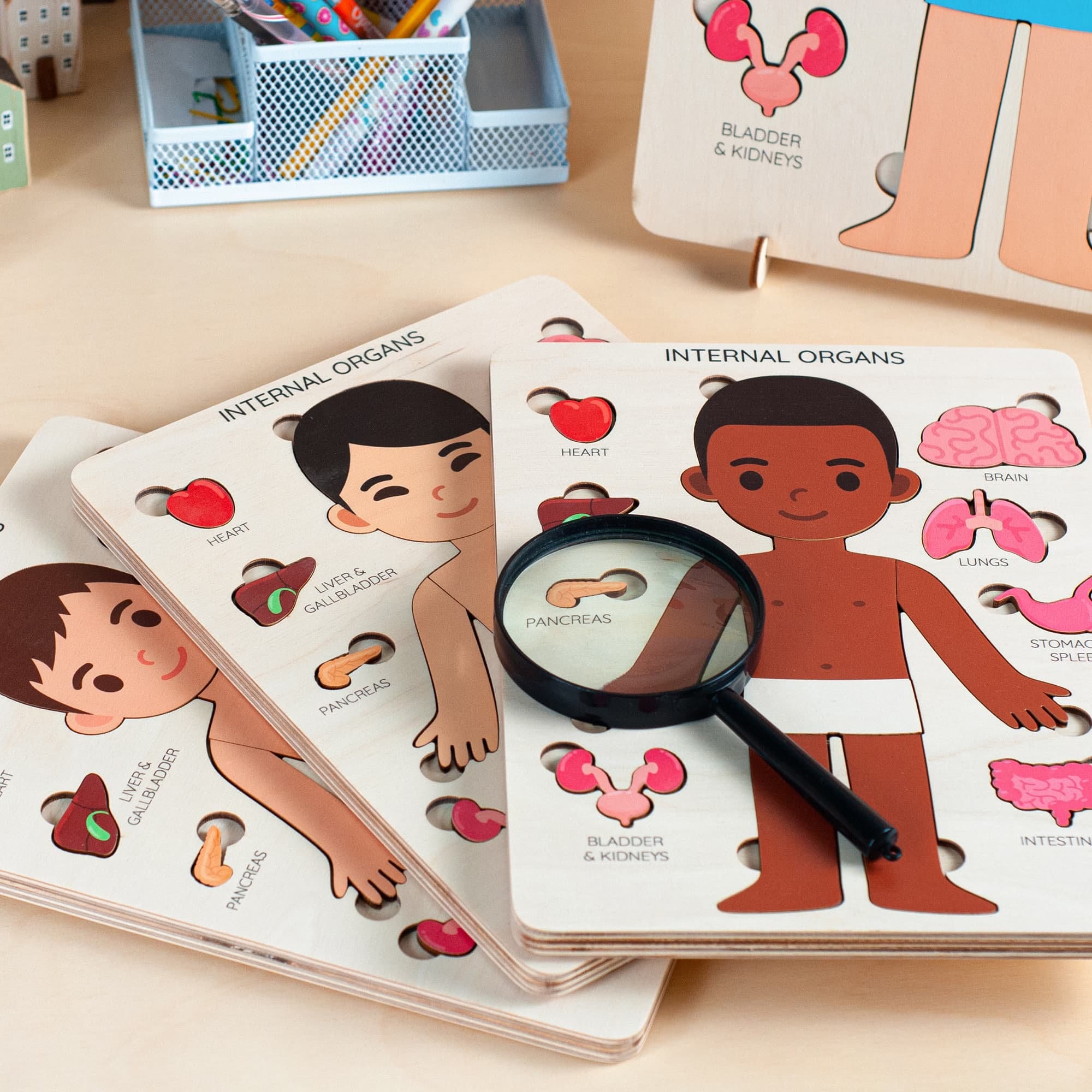 Montessori human body puzzle for kids