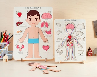 Learning Human Anatomy for Kids, Human Body Puzzle, Montessori Toys, Wood Toddler Toy, Anatomy Puzzle, Preschool Toy, 3 4 5 Years Old Gift