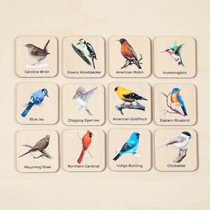 Jouets Montessori 2 ans, oiseaux assortis, jouets d'apprentissage pour tout-petits, anniversaire de tout-petit, jouets éducatifs, jouets pour enfants, jouets Montessori