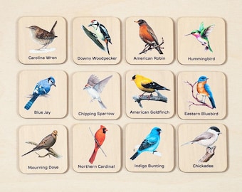 Birds matching wooden cards, Learning bird toys, Montessori educational material tools, Homeschool activity educational toys, toddler gifts