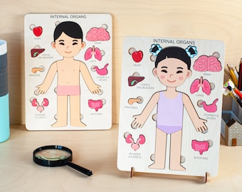 Human body puzzle for kids, Montessori toys, 3 4 5 years old gift, Kids anatomy puzzle, Wooden preschool learning anatomy, Gift for kids
