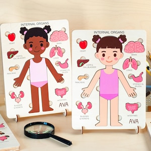 Wooden Human Body Anatomy Puzzle, Montessori Learning Toy, Educational Toddler Toy, Back-to-School Season Gifts