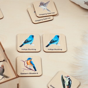 Bird toys, Birds matching cards, Montessori educational material, Homeschool preschool cards, Educational toys, Wooden kids toys image 10