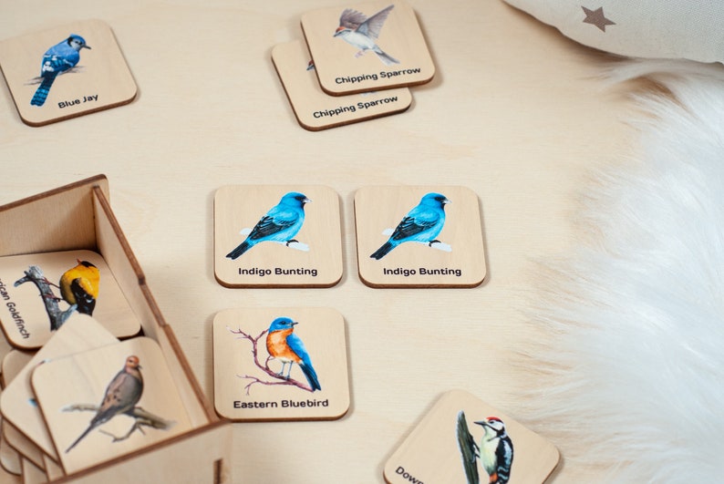 Bird toys, Birds matching cards, Montessori educational material, Homeschool preschool cards, Educational toys, Wooden kids toys image 10