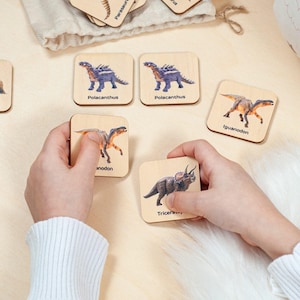Cartes assorties de dinosaures comme jeu de mémoire pour les enfants, cartes mémoire Montessori en bois, jouets Montessori, cartes d'activités préscolaires pour la maternelle