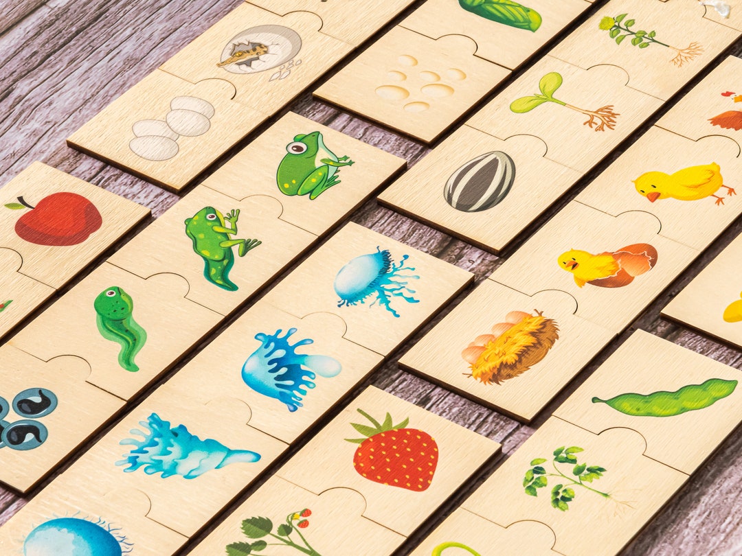 Learning Life Cycle Puzzle, Montessori Toys, Jigsaw Puzzle, Homeschool ...