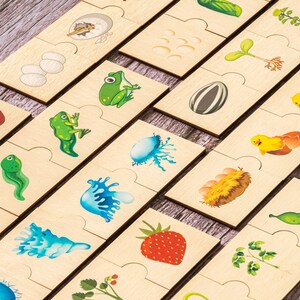 Matching Game for Toddler, Life Cycle Puzzle, Montessori Toys, Life ...