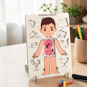 A wooden puzzle depicting the internal organs of a human body, with labels for each organ.