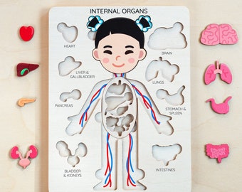 Human Body Puzzle, Wooden Anatomy Puzzle With Internal Organs, Montessori Educational Toy, Preschool STEM Learning, Toddler Science for Kids