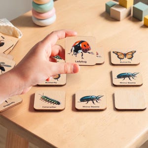 May include: A set of square wooden tiles featuring colorful illustrations of insects and their names, including a ladybug, butterfly, rhino beetle, caterpillar, and dragonfly, with text labels printed clearly below each insect image.