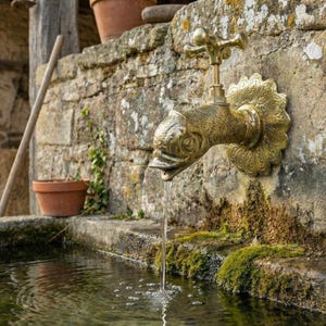 Mässingsblandare för fisk, olackerad guldfinish, väggmonterad trädgårdskran, handgjord marockansk vattenkran