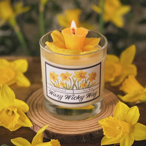 The Daffodil Jar - Soy Wax Vegan Candle Canwyll Hiraeth