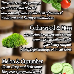 May include: A promotional graphic featuring three scent categories: Herb Garden with red tomatoes and green basil, Cedarwood & Moss with bright green moss, and Melon & Cucumber with sliced green cucumbers and a red watermelon wedge.