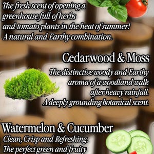 May include: An image showcasing three scent descriptions: "Herb Garden" with tomatoes and basil, "Cedarwood & Moss" with green moss, and "Watermelon & Cucumber" with watermelon and cucumber slices. The descriptions are in white text.