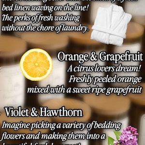 May include: A promotional graphic featuring three scent categories: Clean Cotton with a white bathrobe icon, Orange & Grapefruit with a yellow lemon slice, and Violet & Hawthorn with a purple lilac flower cluster. Text descriptions accompany each scent.