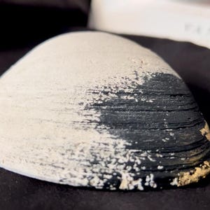 Black & Gold Seashell Decor – Hand-Finished Coastal Sculpture, One of a Kind Ocean Artifact, Beach House Accent