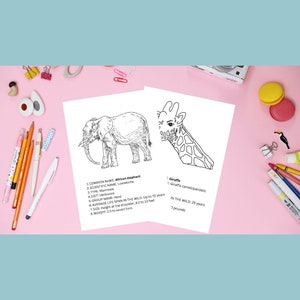 Homeschool Afrikaanse Safari Factsheet Dierenkleuren Activiteit