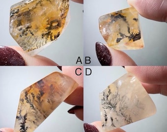 May include: Four translucent, polished dendritic agate stones labeled A, B, C, and D. Each stone features a unique, amber-toned base with intricate, dark, fern-like inclusions that branch out across the surface of the smooth, irregular shapes.