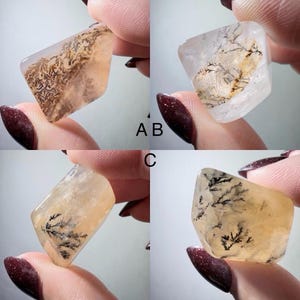 May include: Four polished dendritic agate stones labeled A, B, and C. Each translucent stone features unique, dark, fern-like inclusions within a pale yellow or clear base. The stones are held individually to display their internal patterns.