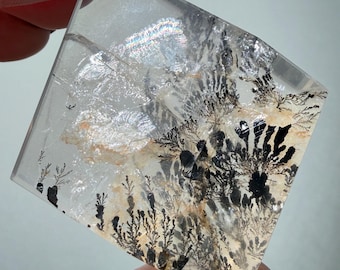 Natural Dendritic Quartz Freeform | Scenic Landscape Quartz with Black Dendritic Inclusions