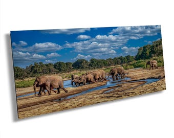African Elephant Herd Wall Art, Wildlife Canvas Print