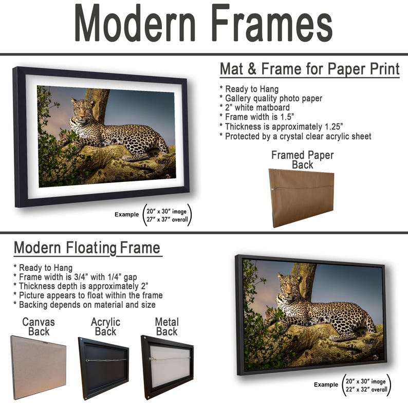 The image is a collage of two framed pictures, one of a leopard and one of a tree. The leopard is sitting on a rock, while the tree is in the background. The framed pictures are described as modern floating frames, which means they have a frame that floats on the surface and does not require nails or screws to be hung. The frames are available in different sizes, such as 20x30 inches, and the backings are described as acrylic and metal.