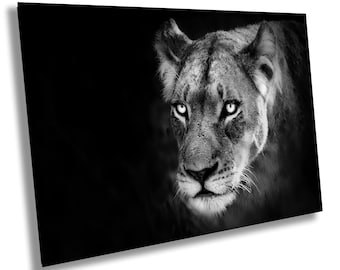 Lion Print African Safari Black White Wall Art Nature Wildlife Photography