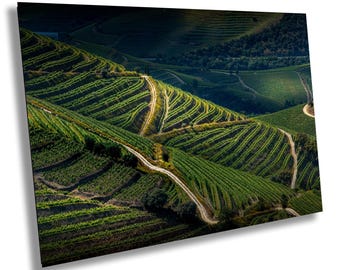 Douro Valley Vineyard Print, Portugal Wine Country Landscape, Travel Photography