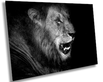 Afrikanischer Löwe Druck, Safari Wandkunst, Schwarz Weiß Wildfotografie, König des Dschungels