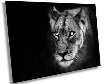 Löwe Druck Afrikanische Safari Schwarz Weiß Wand Kunst Natur Wildtiere Fotografie