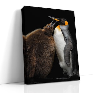 King Penguin Portrait, Chick, Mother and Child, Falkland Islands Wildlife Photography, Antarctic Nature Art, Penguin Wall Print