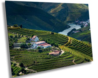 Douro Valley Vineyard Print, Portugal Wall Art, Winery Landscape